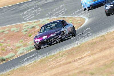 media/May-06-2023-Lucky Dog Racing (Sat) [[8f2256f436]]/Turn 2 10a/